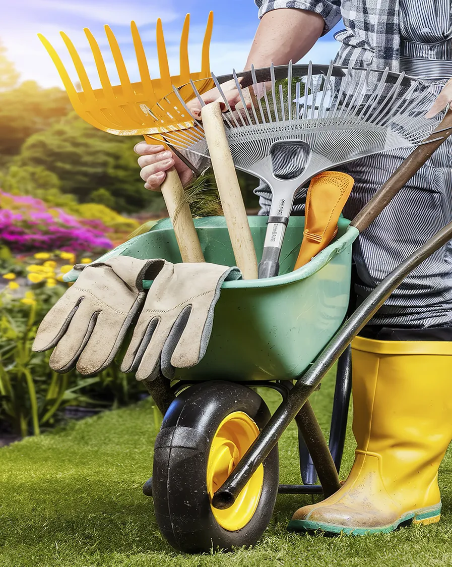 Asafe Manutenção de Jardim