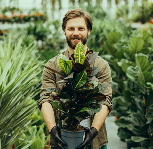 Asafe Manutenção de Jardim