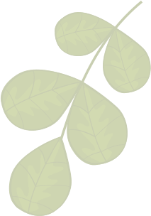 Asafe Manutenção de Jardim