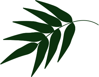 Asafe Manutenção de Jardim