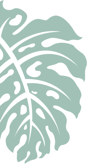 Asafe Manutenção de Jardim