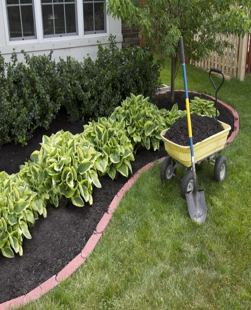 Asafe Manutenção de Jardim