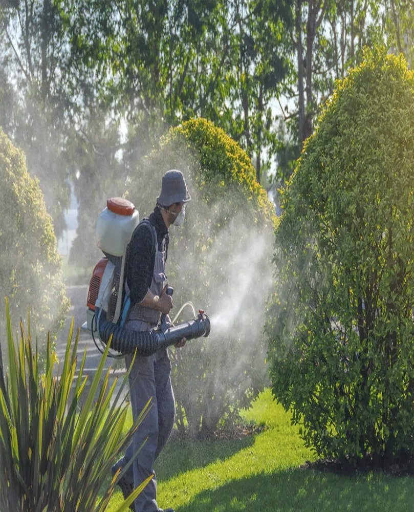 Asafe Manutenção de Jardim